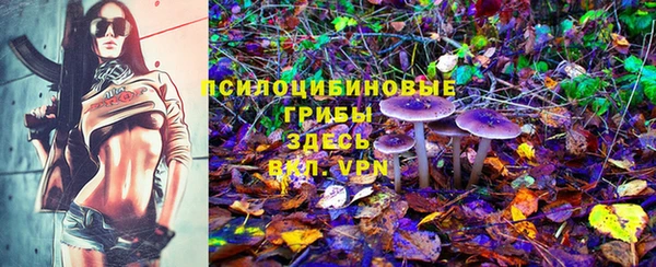 кокаин премиум Богданович