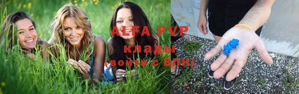 СК Богородицк