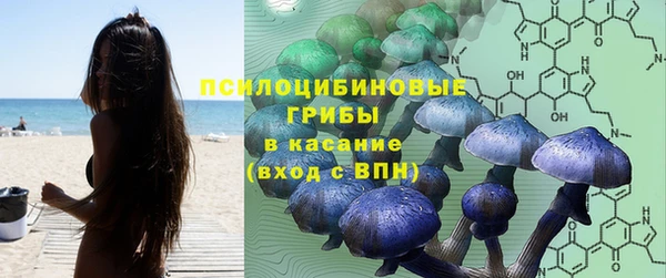 кокаин премиум Богданович