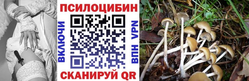 Псилоцибиновые грибы Cubensis  закладка  Набережные Челны 